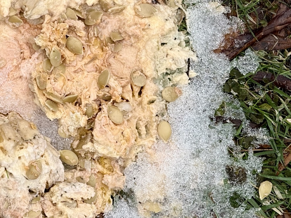 SPLEFFED FEDERAL DISCHARGING