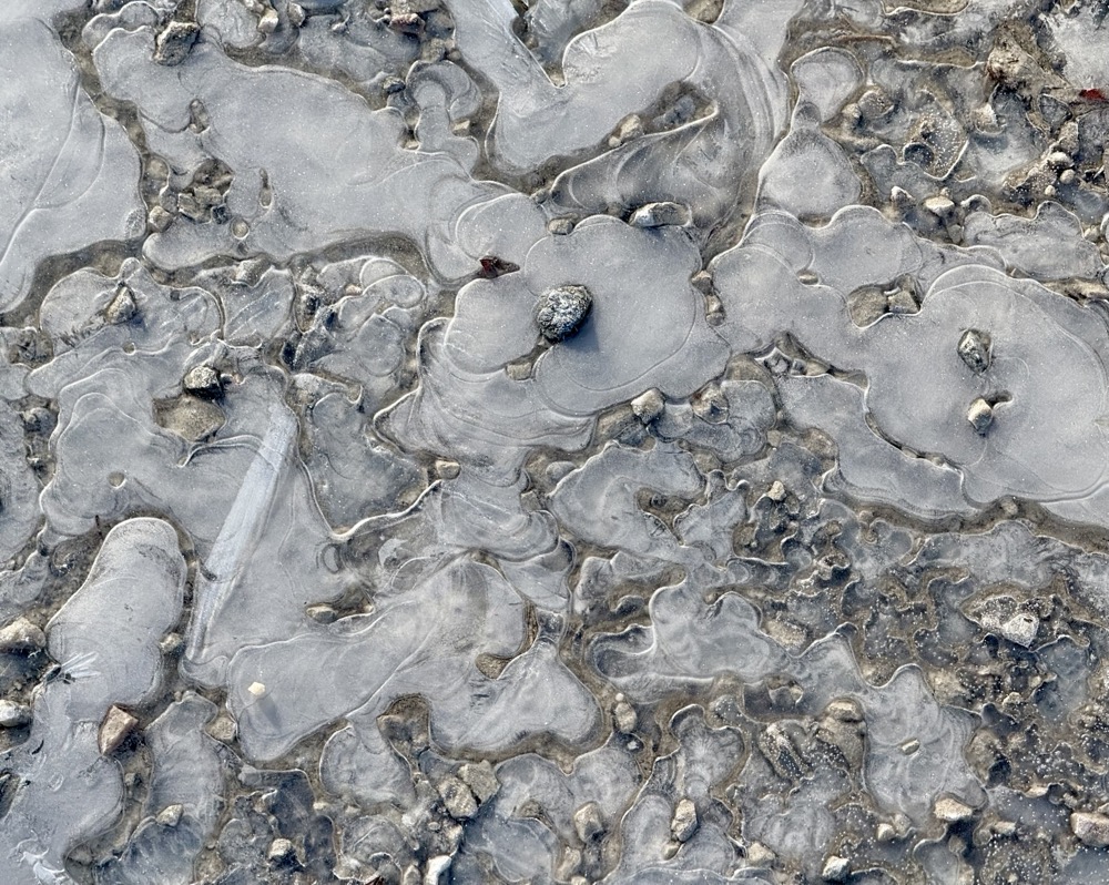 BLITZEN DSP RAMROD G7 ORTHO