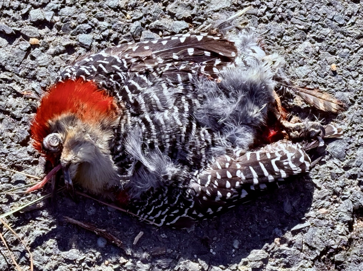 SOMETHING UNEXPECTED