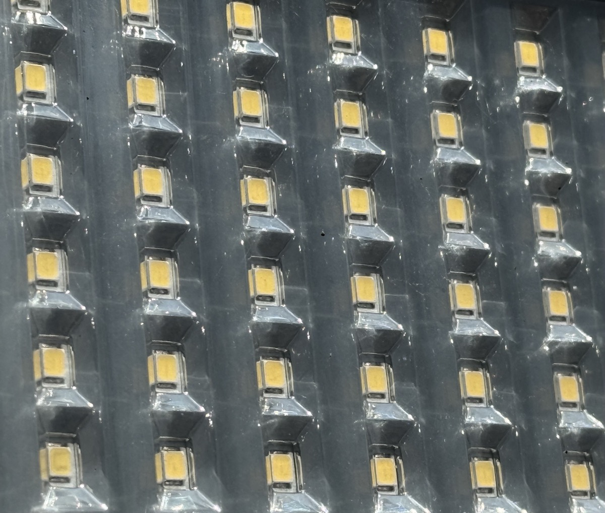 CORPSE OF THE DIVINE BRICK LAYER