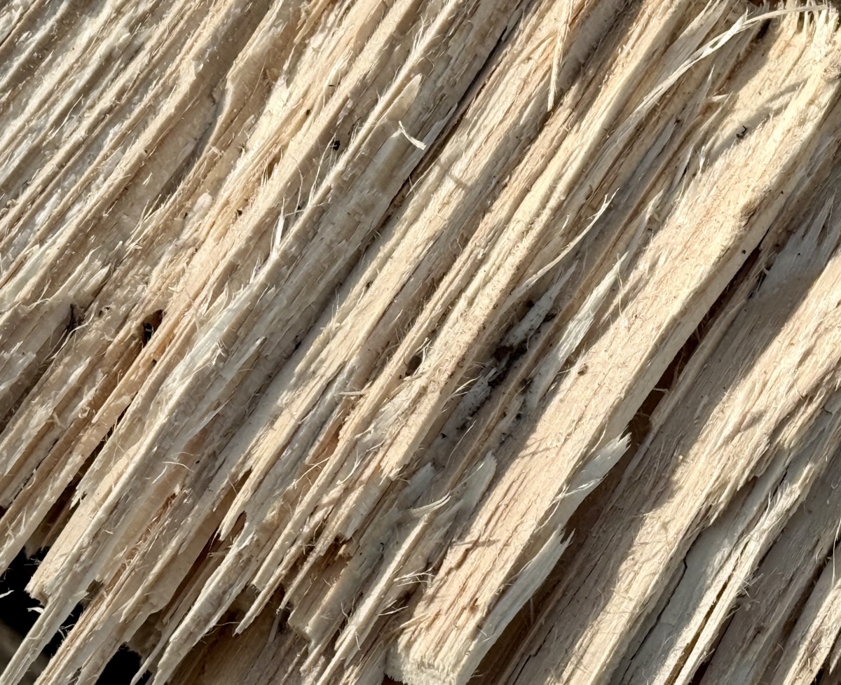 BIZDEV OROGONE VESTIBULAR