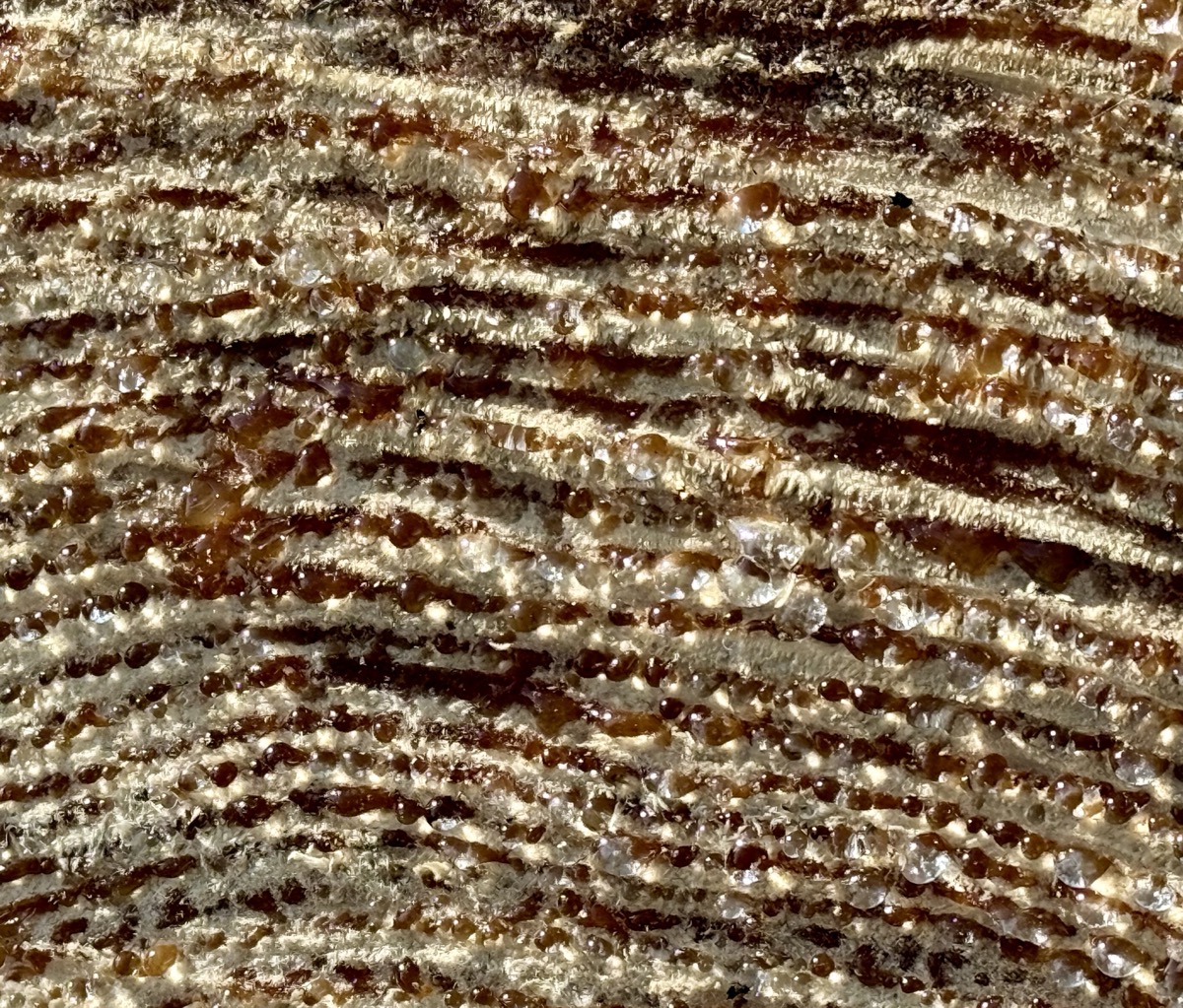 IT’S A SNAKEPIT WORLD