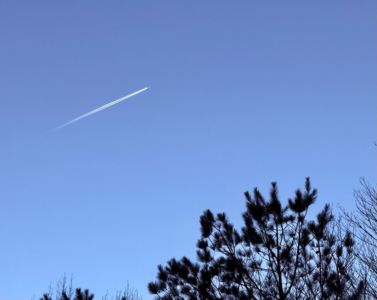 MYSTICS COLORING HYDROGENATED