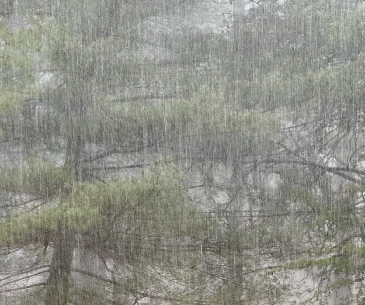 MILKED EXECUTIVE FUNCTION