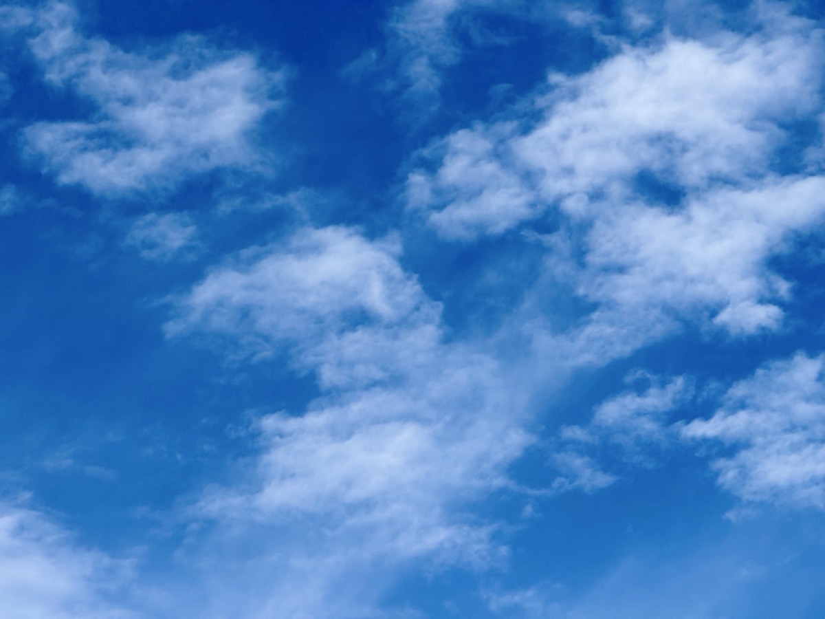 CRAYFISH FELL FROM SKY