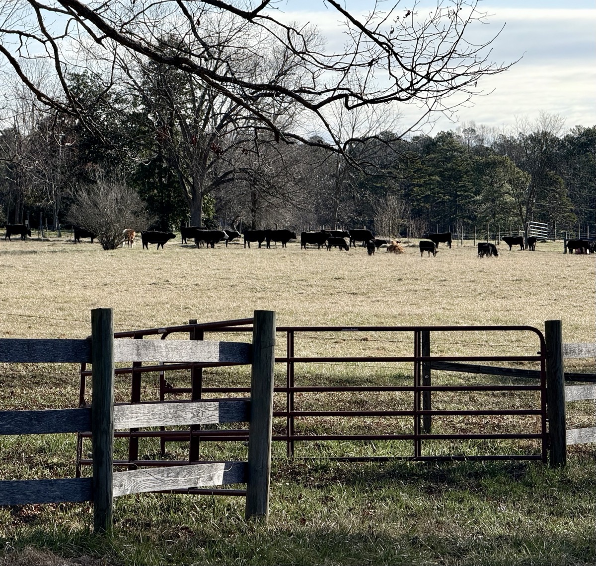 OVERROTATED MIXED BAG GEL