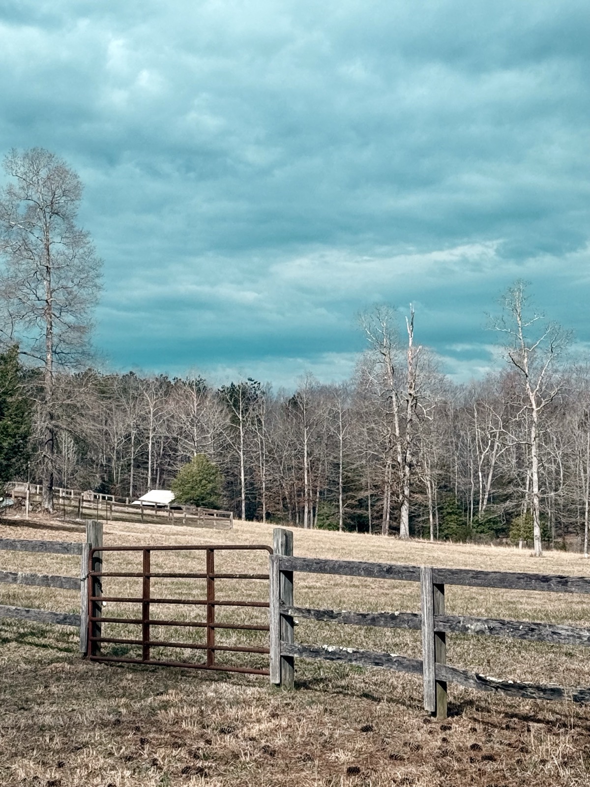 VARIEGATED FLAT SIMULATOR