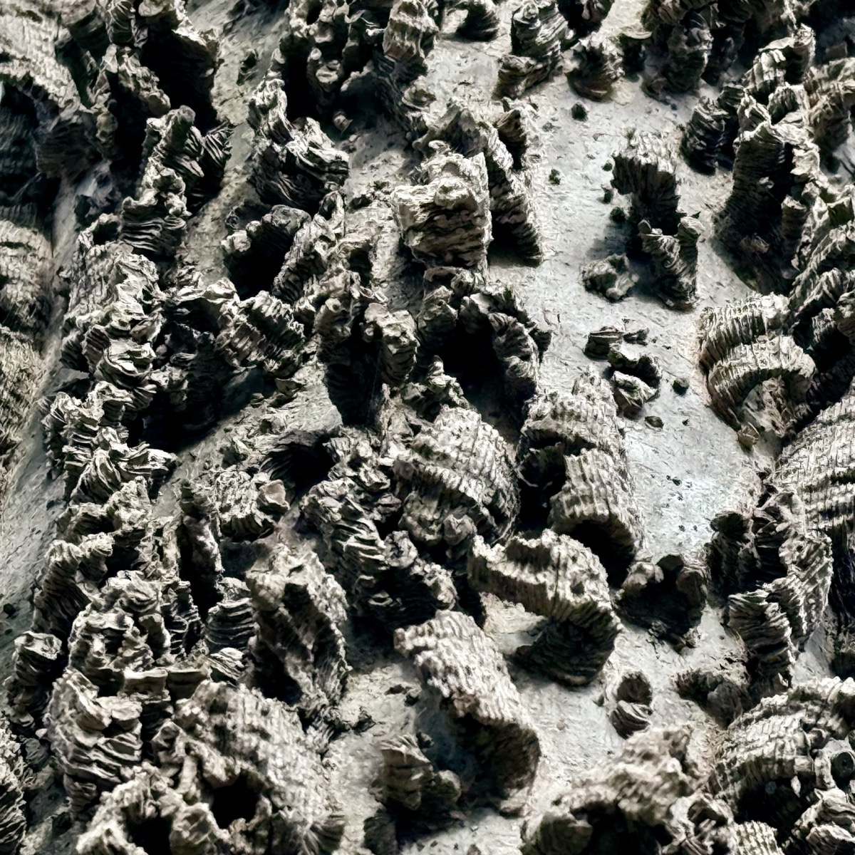 GRIPPED JAYLO SACRIFICE