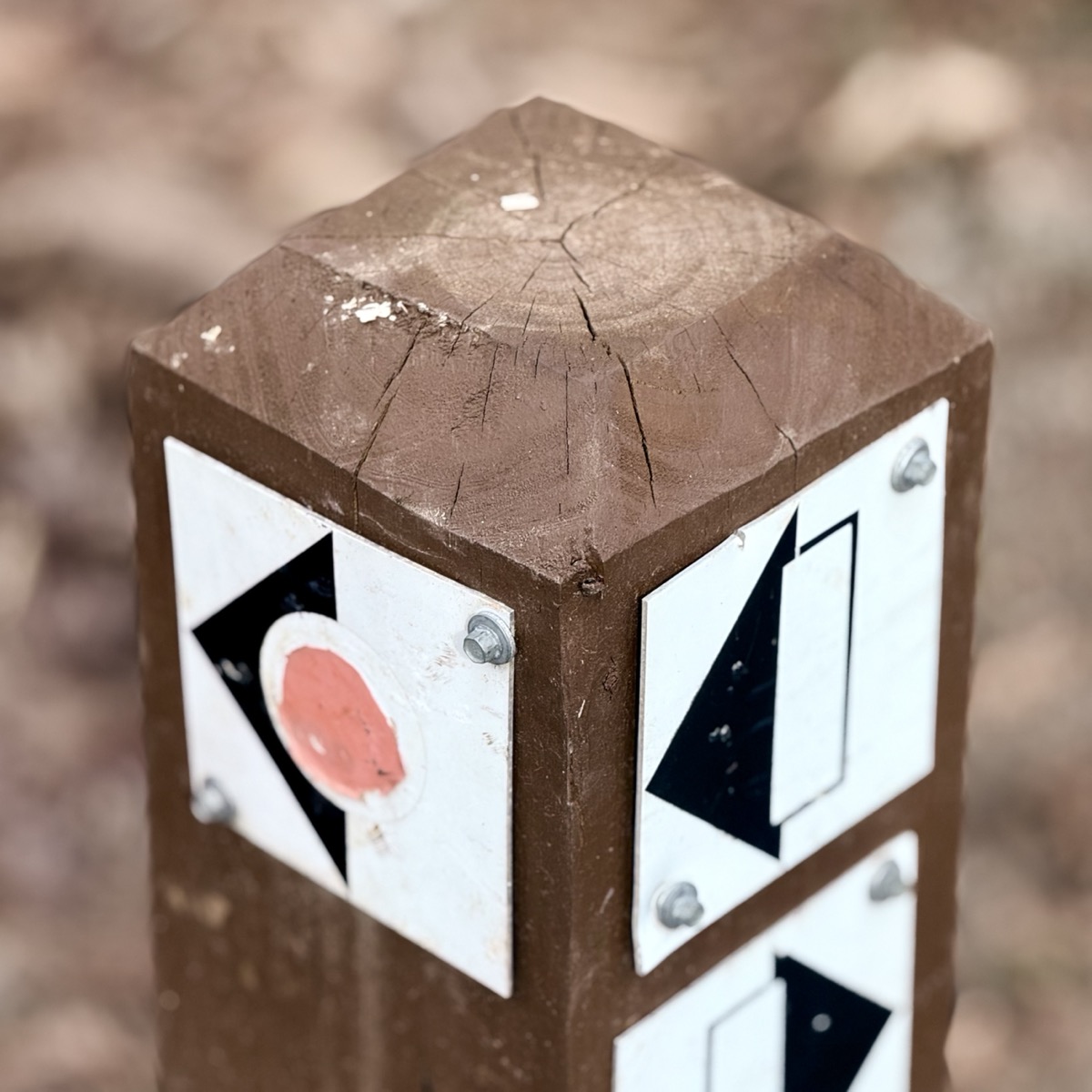 SLIZZARD BOTCHED 8889