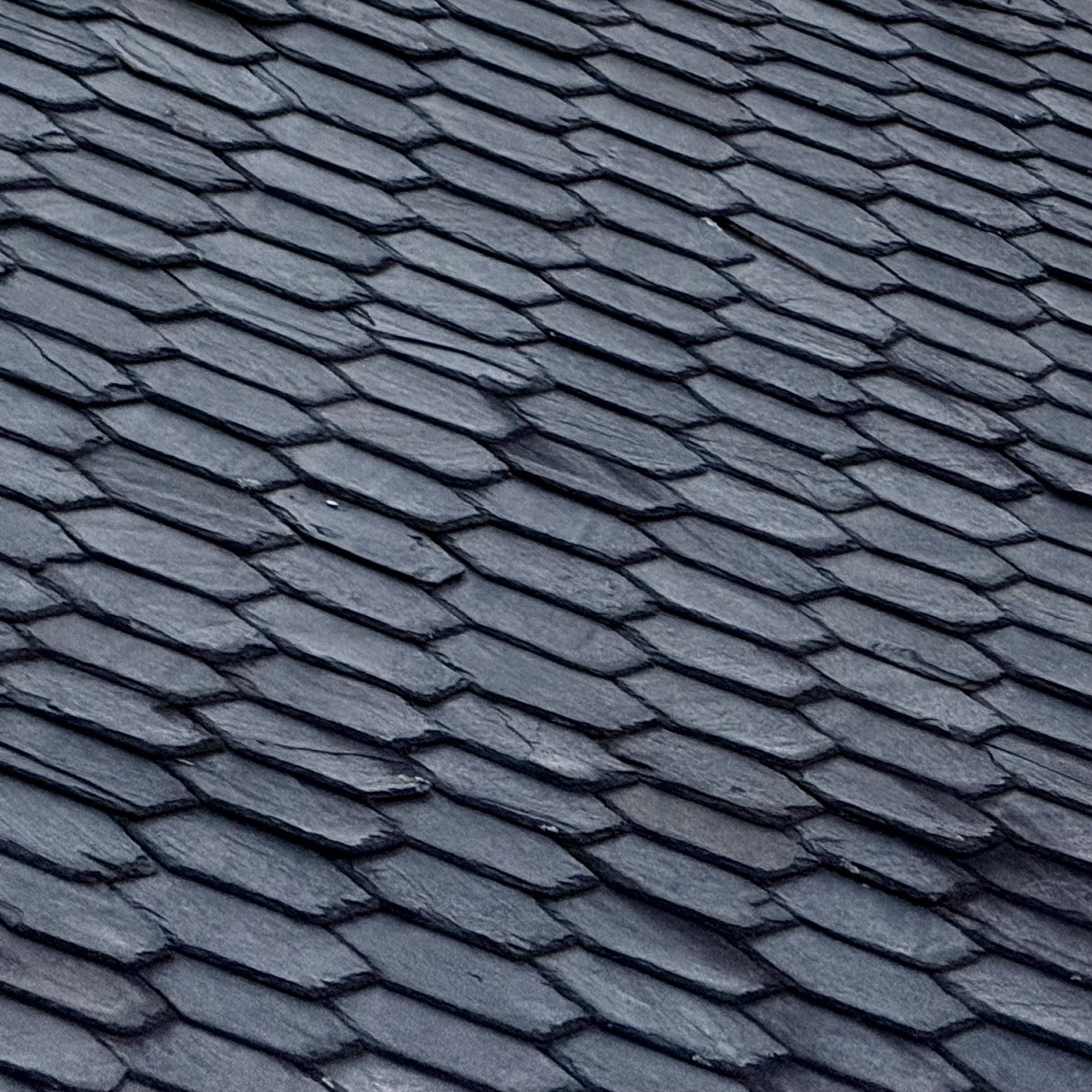 GAMIFIED CHEESE TOUCH