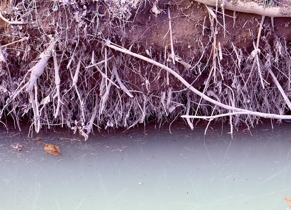 GAMELY PROPOSITIONAL HORIZON 66