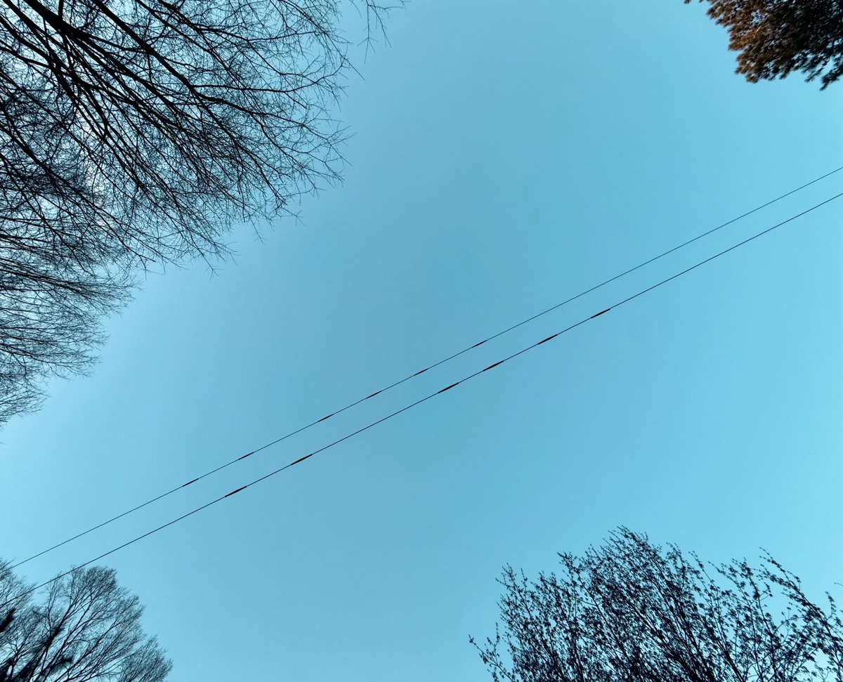 TIMES WINGED CHARIOT