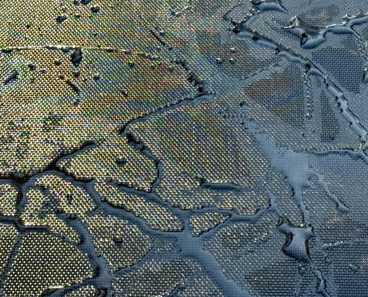 VISAGE NANOS REMANDED