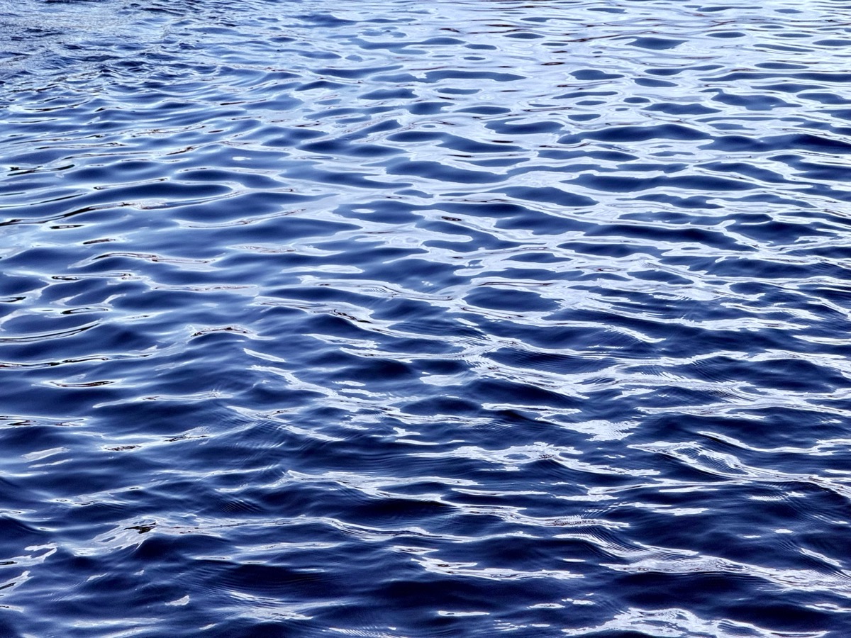 SELECTABLE FT HEREUNTO