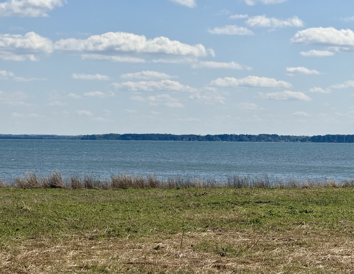 QUINTESSENT DELIBERATELY