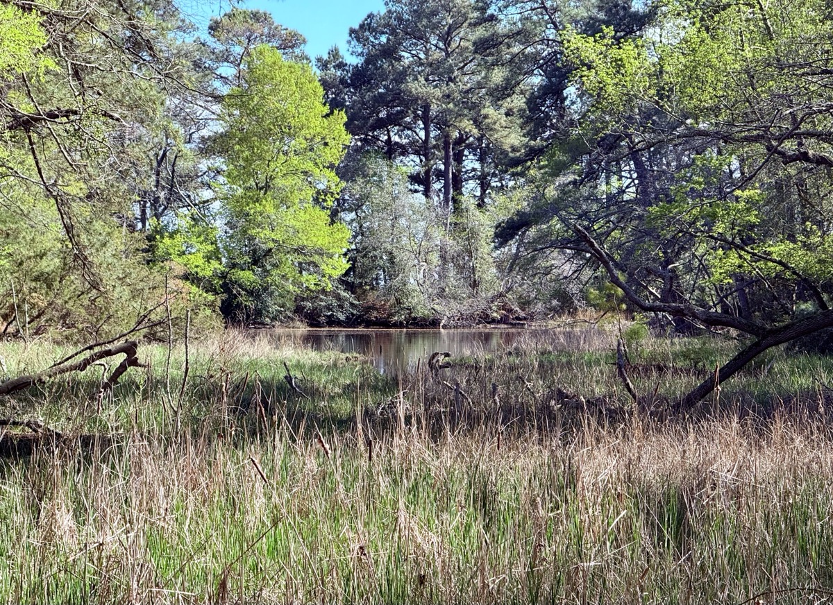MODERN EQUINOX VERANDA