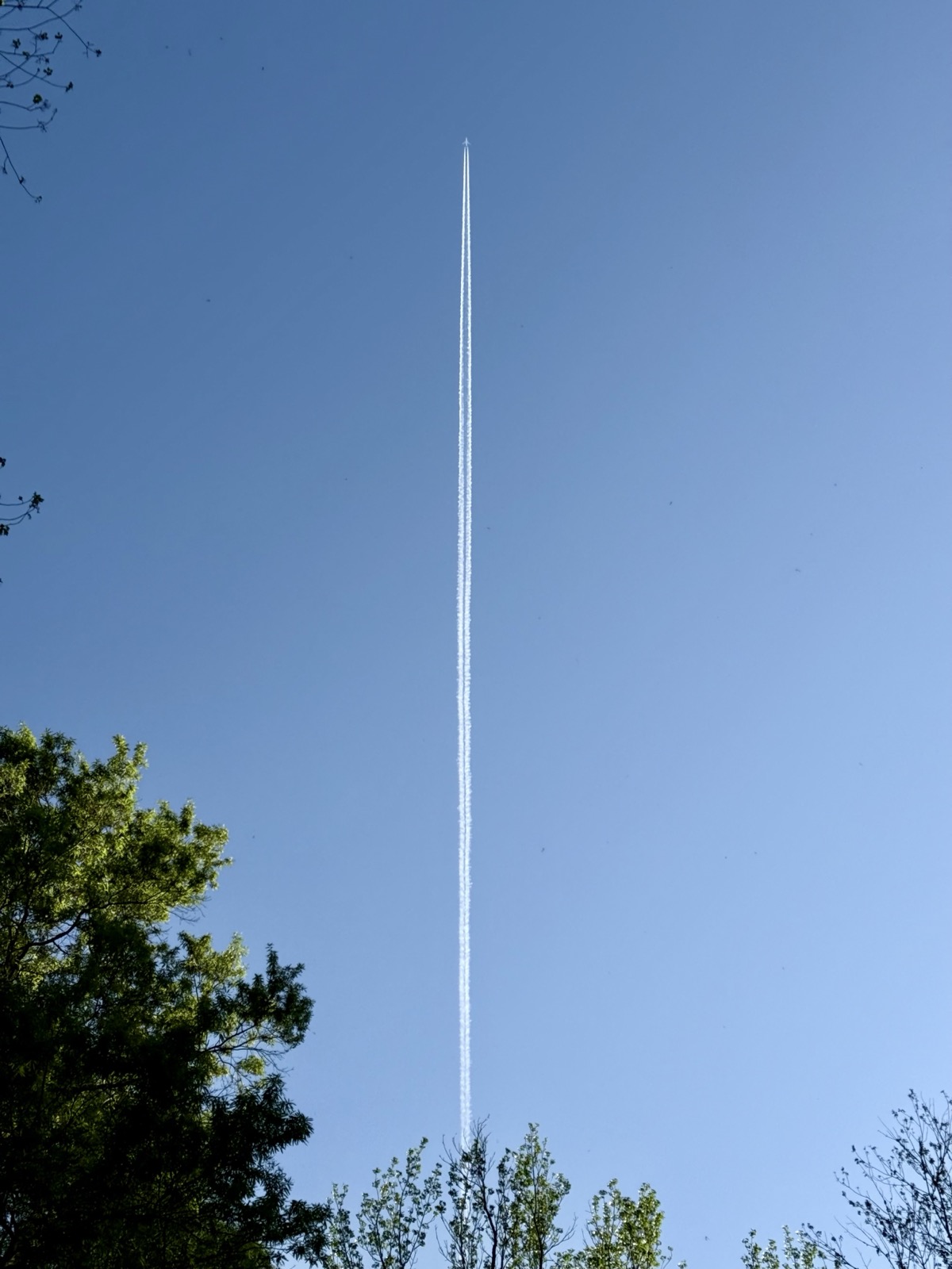 IMMUTABLE ZAZZLEPANT