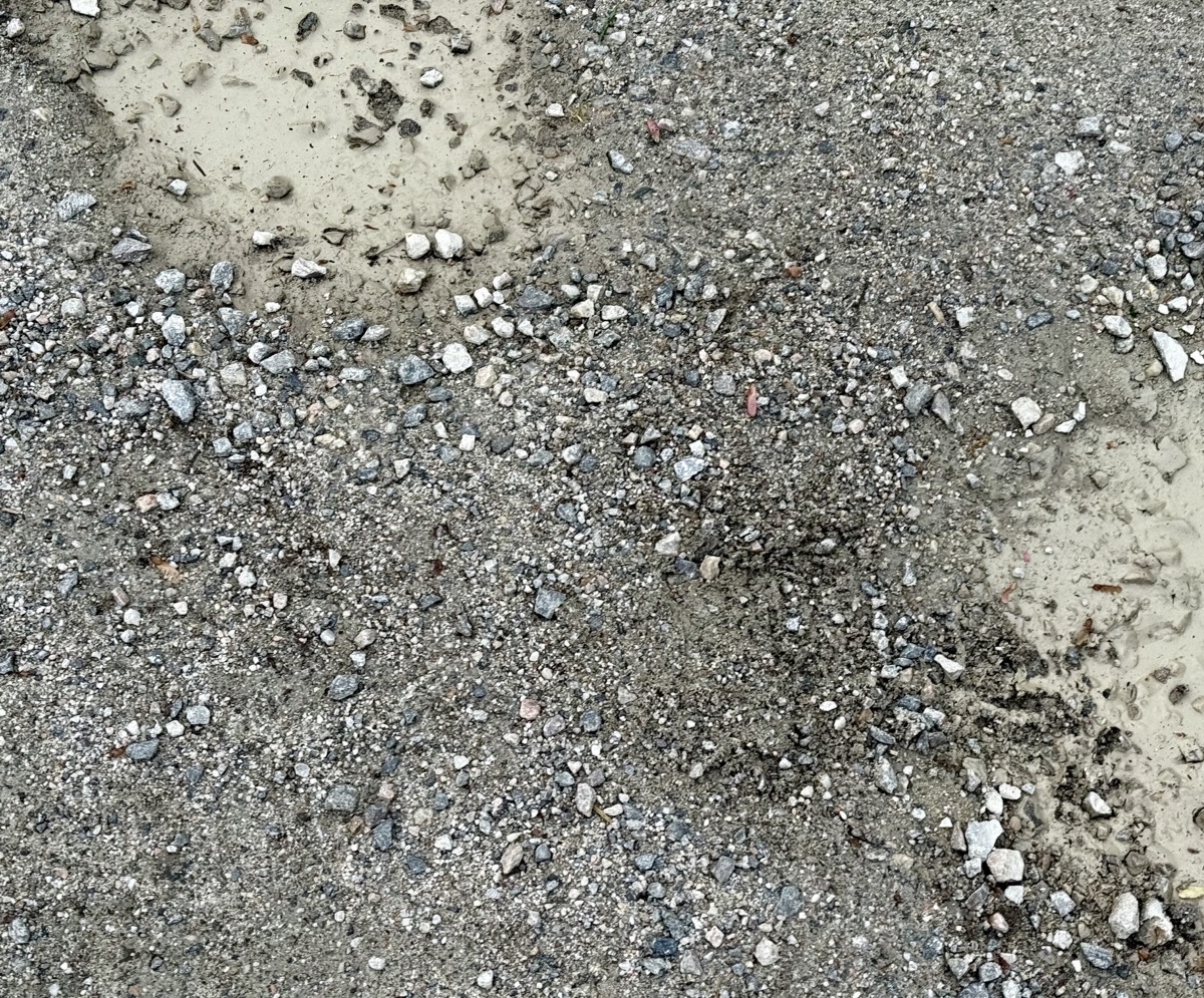 DEMONLAYER 909 SNARE SOUND