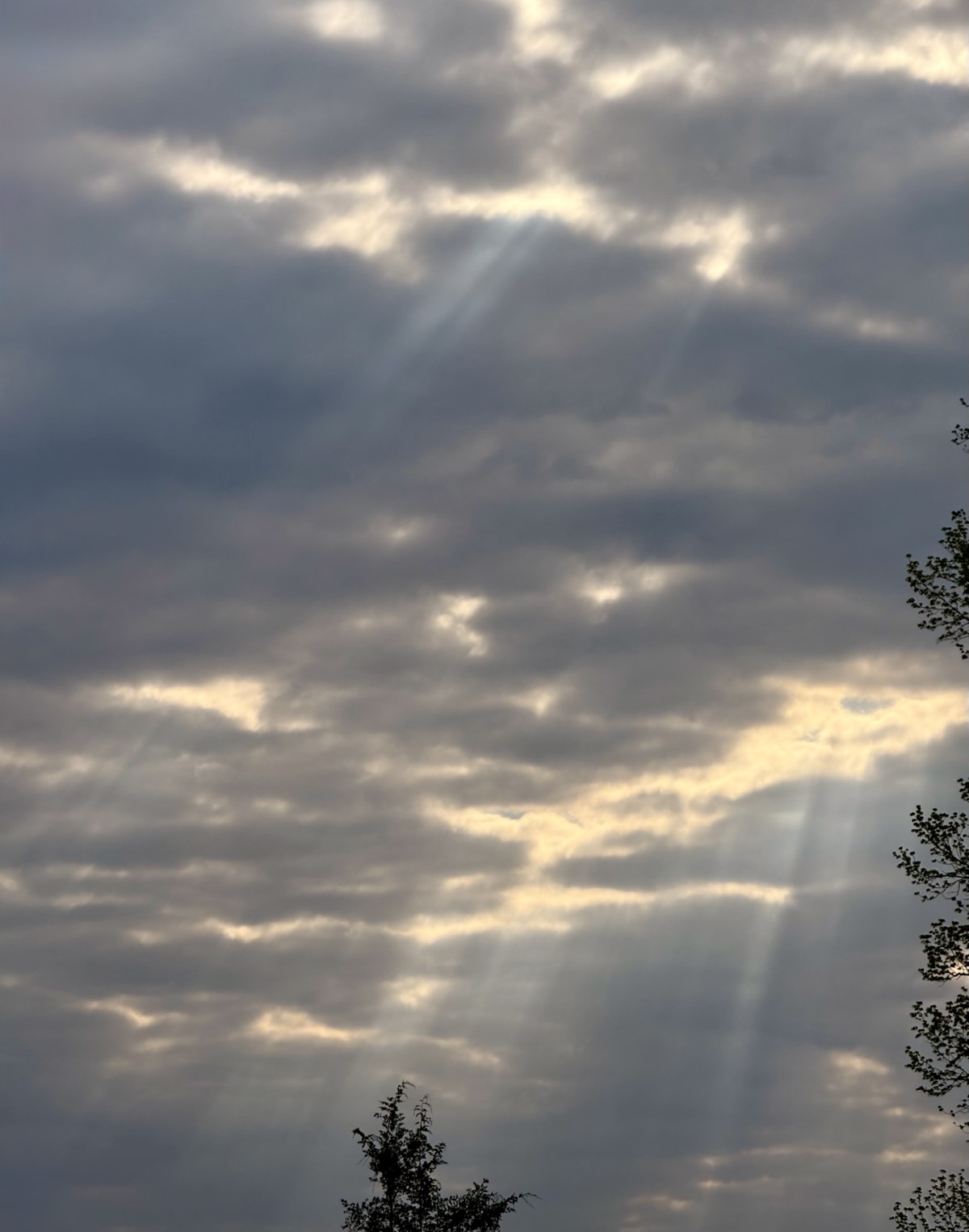 HEAVENS GATE SIGNUP FORM