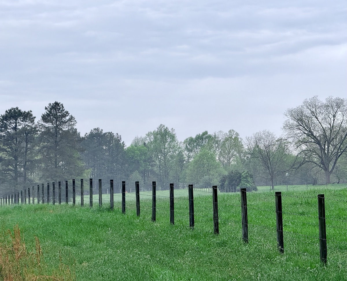 G8 EMBELLISH ORDINARY