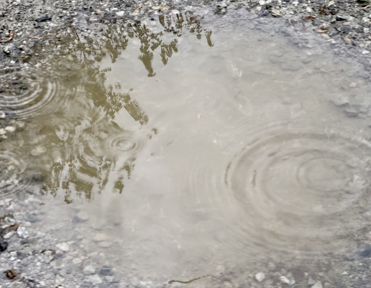 H7 DISTRO NOMENCLATURE