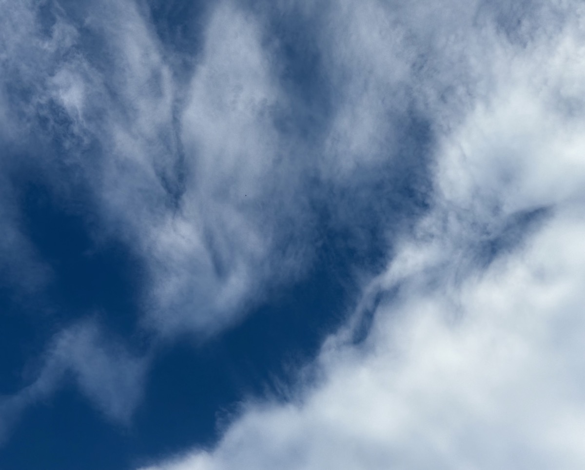 SOFT EDGES RETICULATED