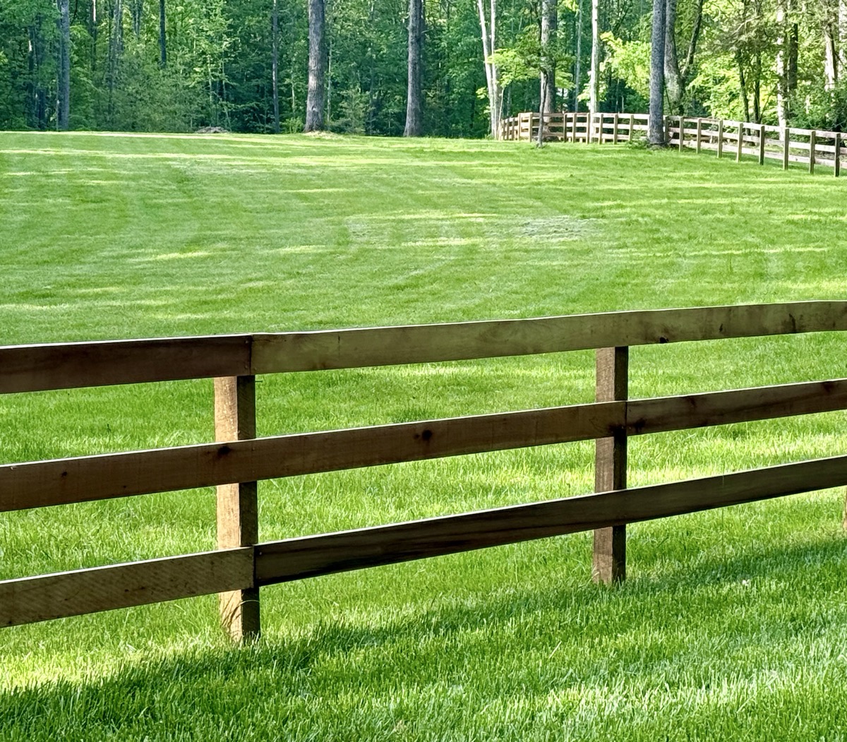 DERELICT MODEL QUIESCENCE