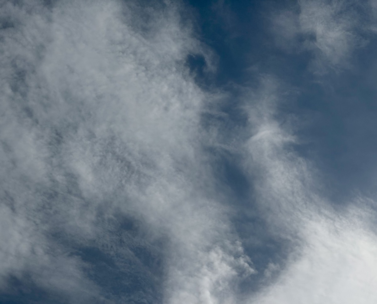 SYCOPHANCY METACHOLRIAN