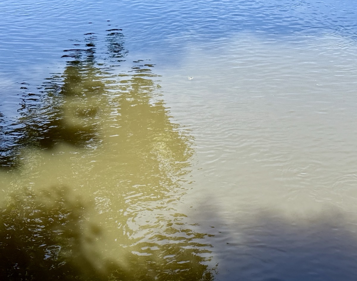 NUANCED G7 SIGNATURE