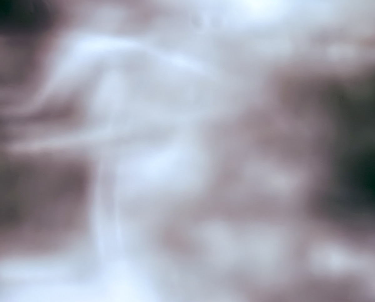 SOUL HARVESTING SEMINAR