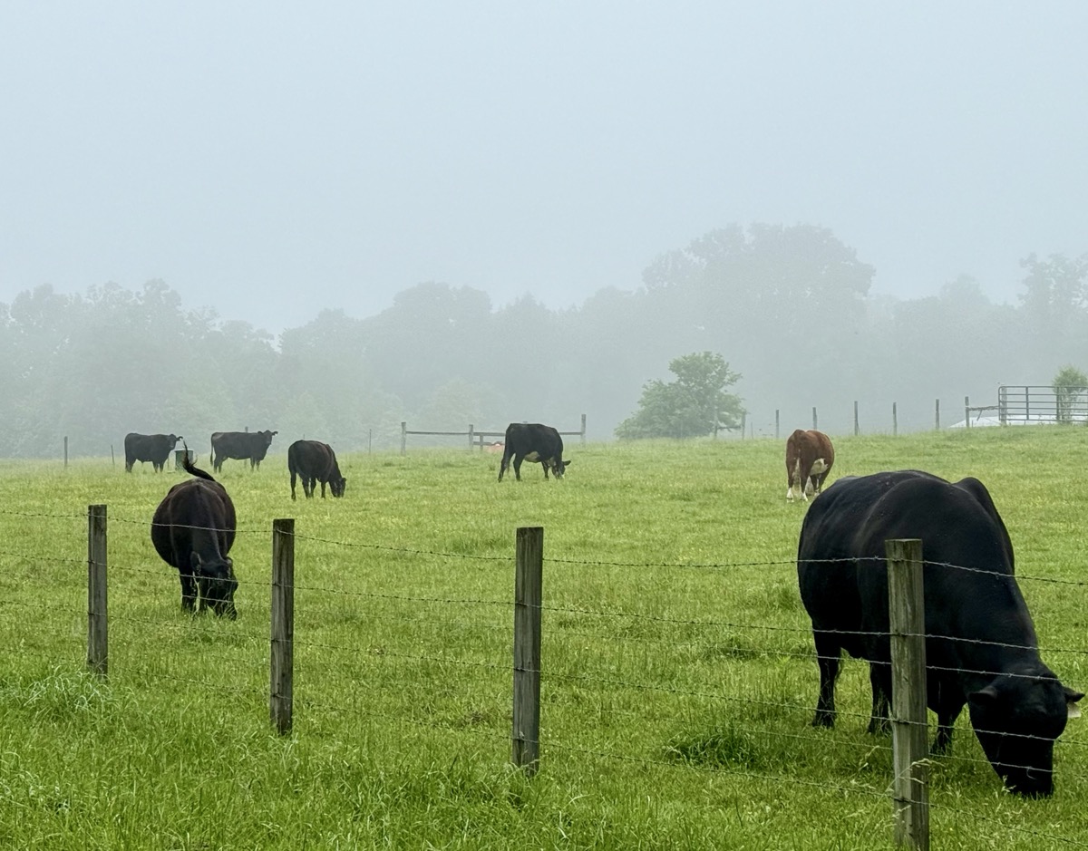 BEFUDDLEMENT && DISCOVERY