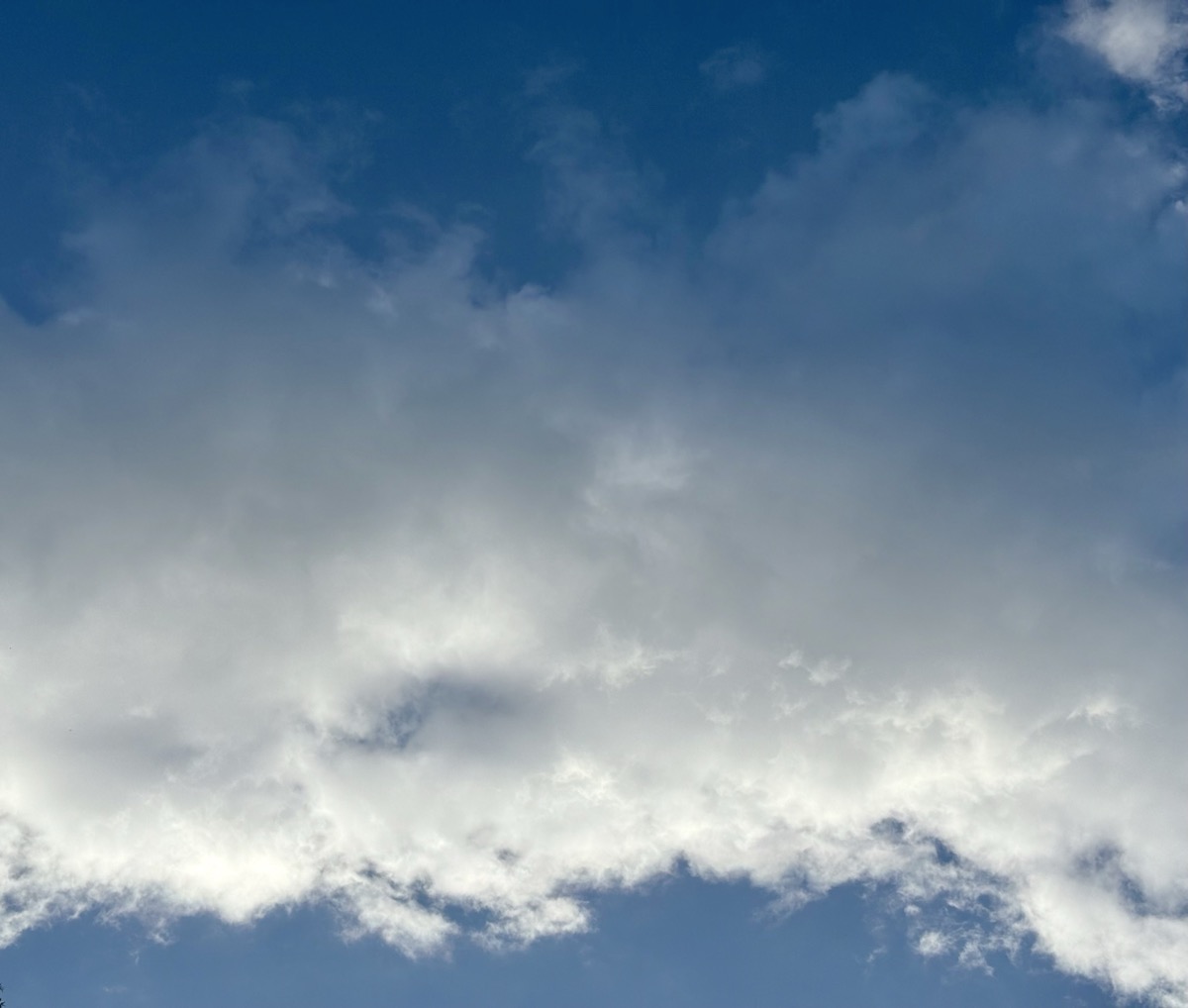 SMALL COMPUTER SYSTEMS INTERFACE