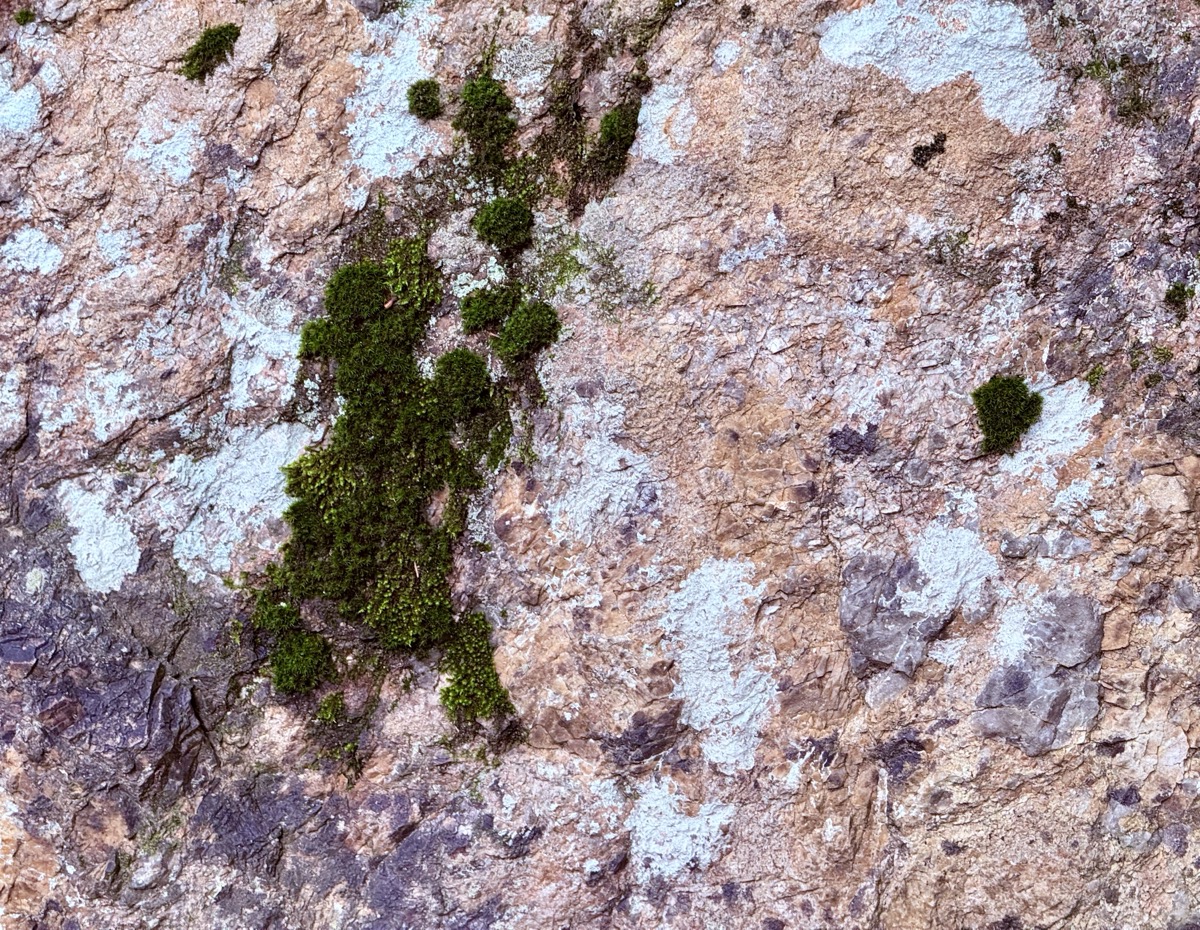 REGIONAL FORGETFULNESS 78