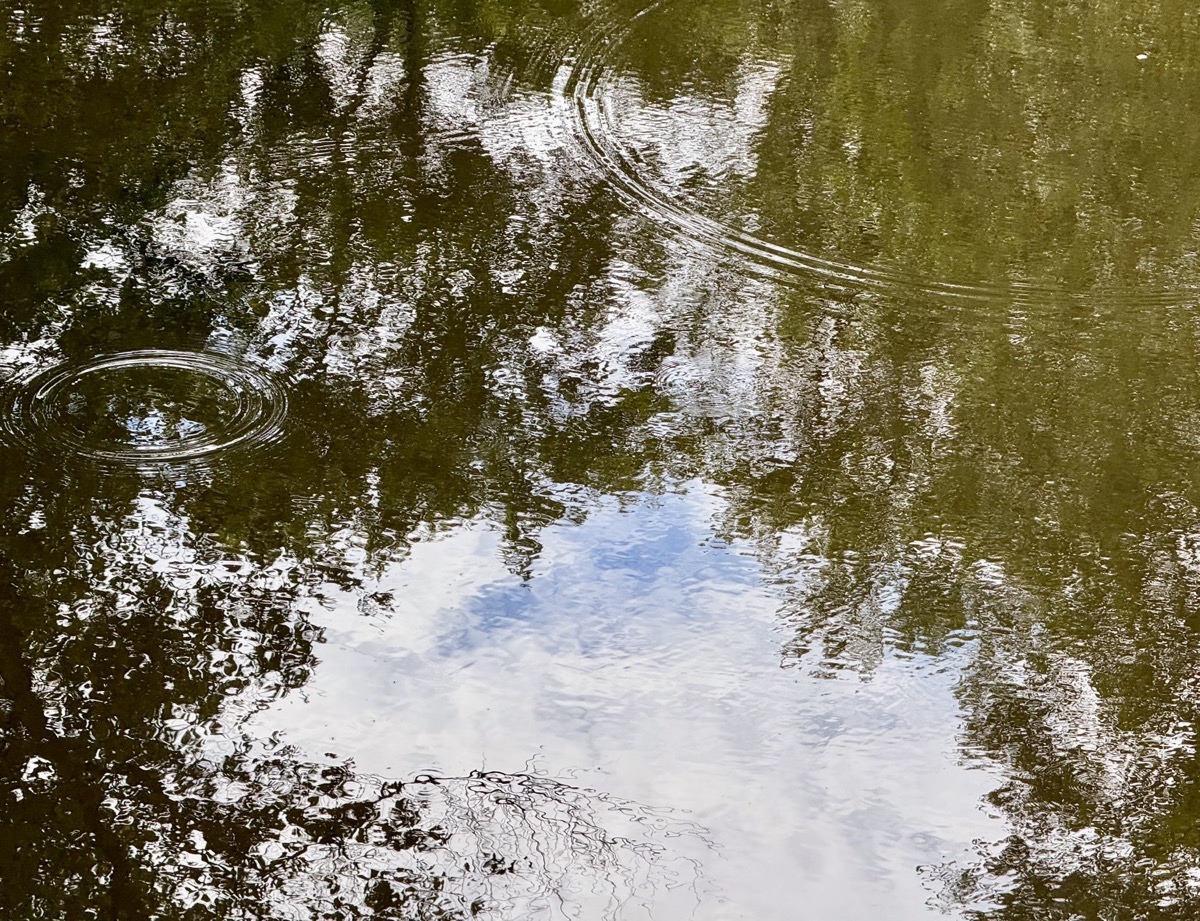 MULTIFUNCTION OSCILLATOR