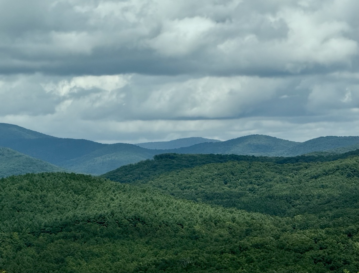 TELEPATHIC GROUP INTERPLAY