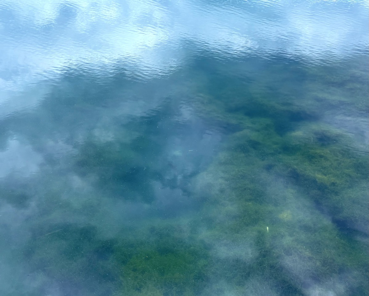 ILLUSTRATED WITH AND