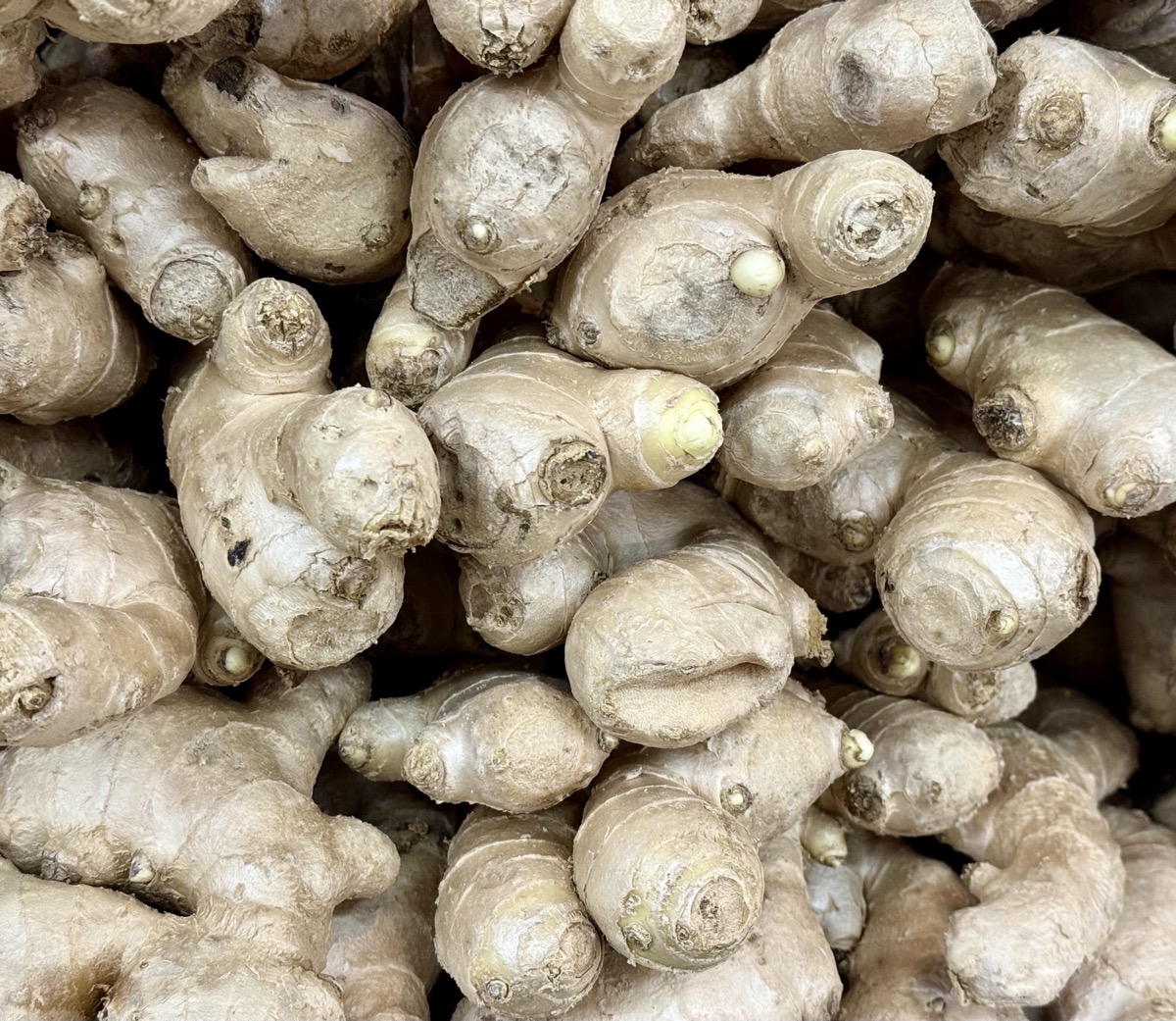 SPICE MUST FLOW PART II