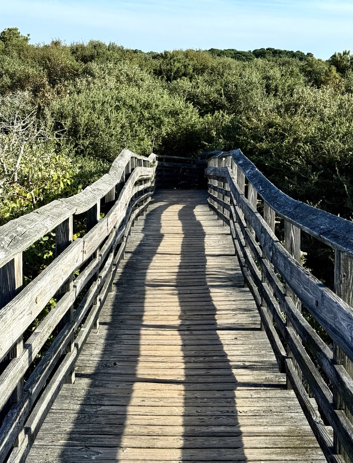 MORTISED G8 HOMOGENEOUS