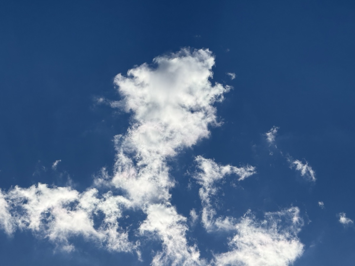 FILLETING BE SPONTANEOUS