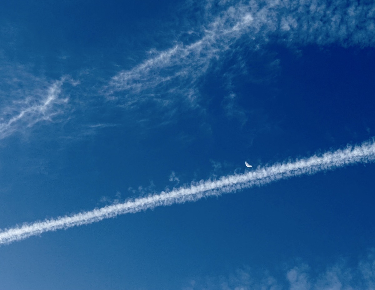 REASONED HALLUCINATION GXP