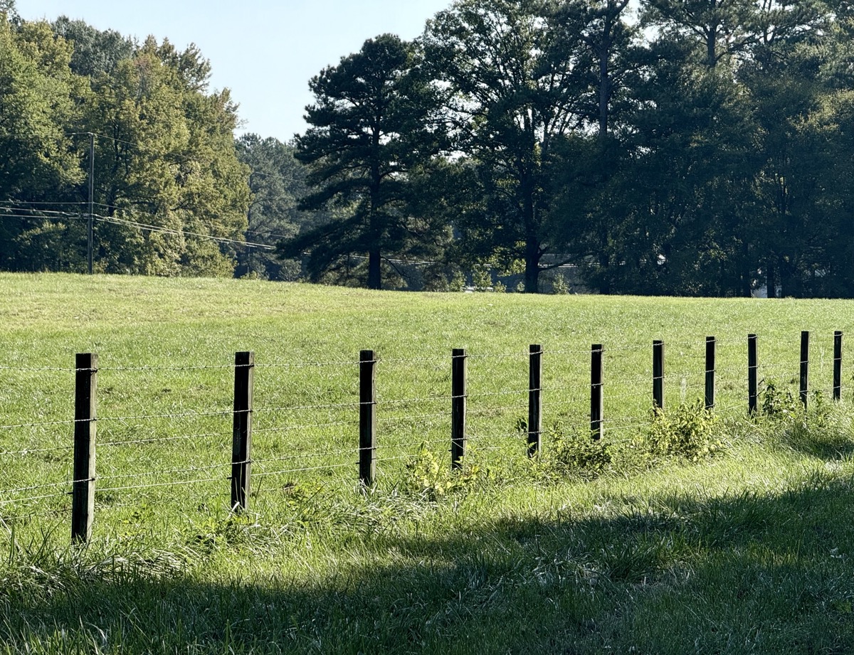 STOKED QUINTESSENTIAL