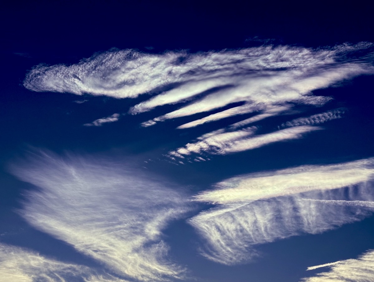 HALLOWED NANOTUBE J7