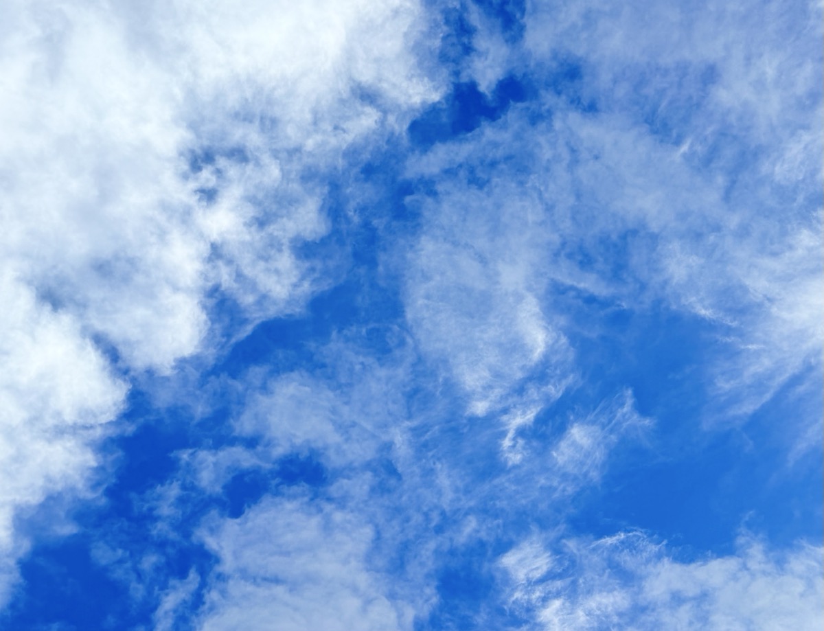 BERKSHIRE KLEPTOCRACY