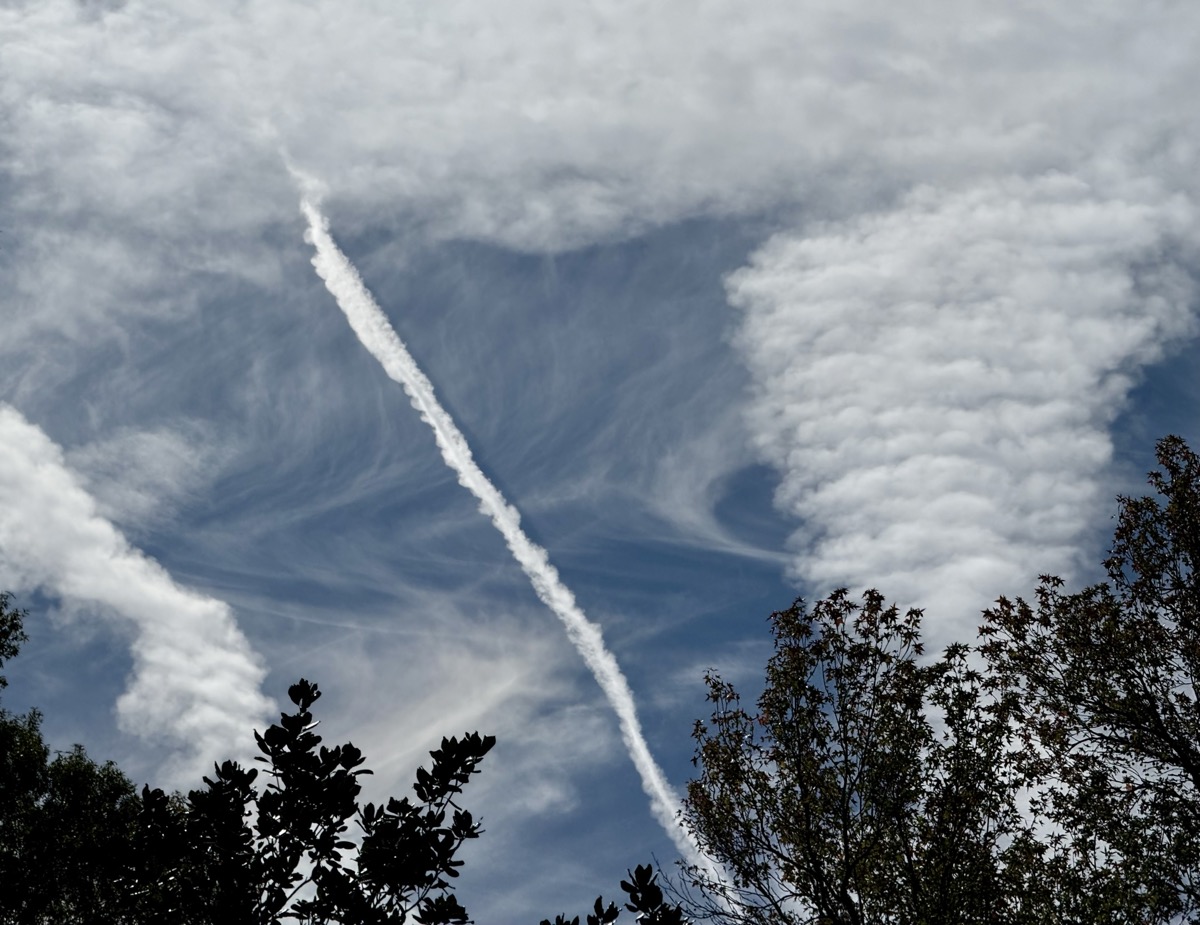 RENEWED SENSE OF URGENCY