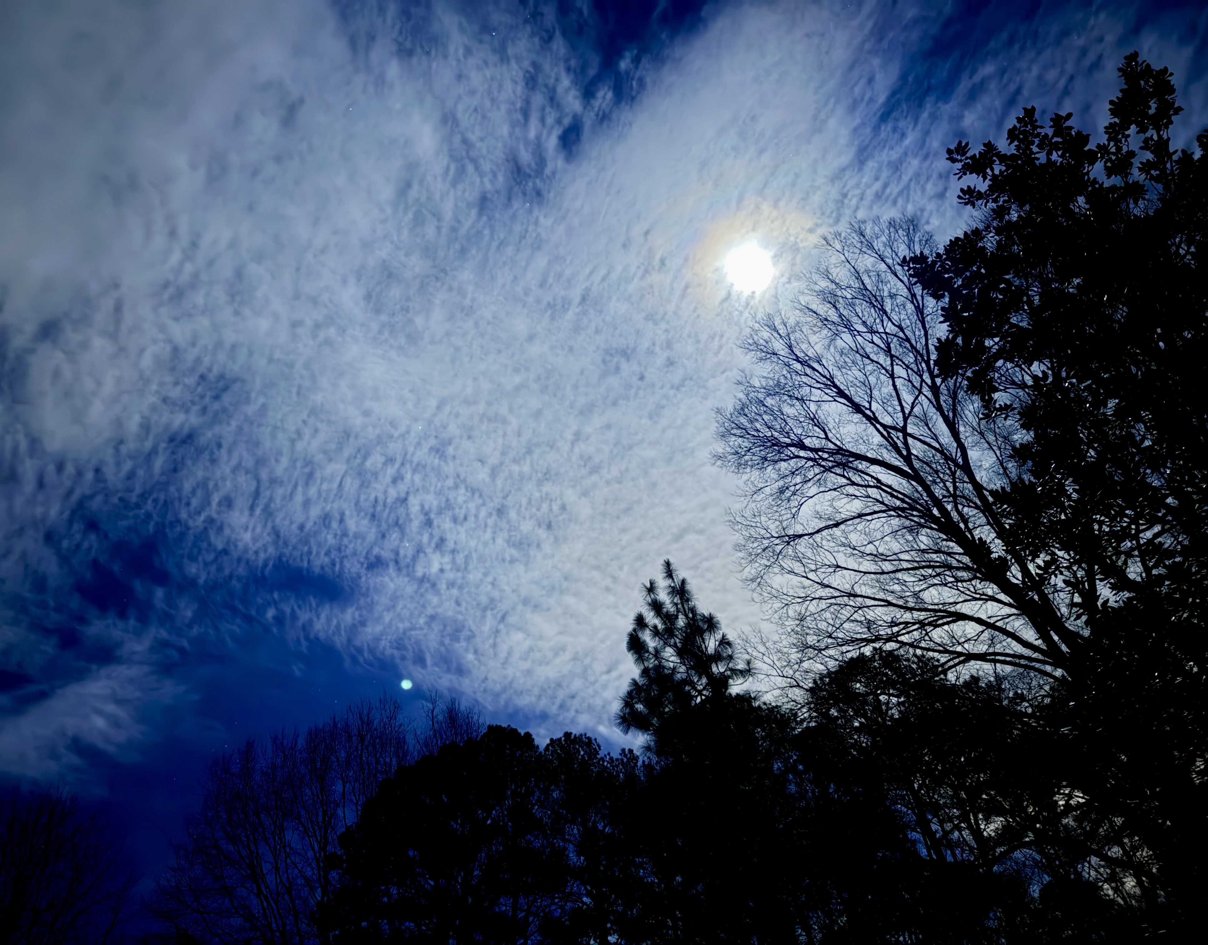 GS synergy team lead