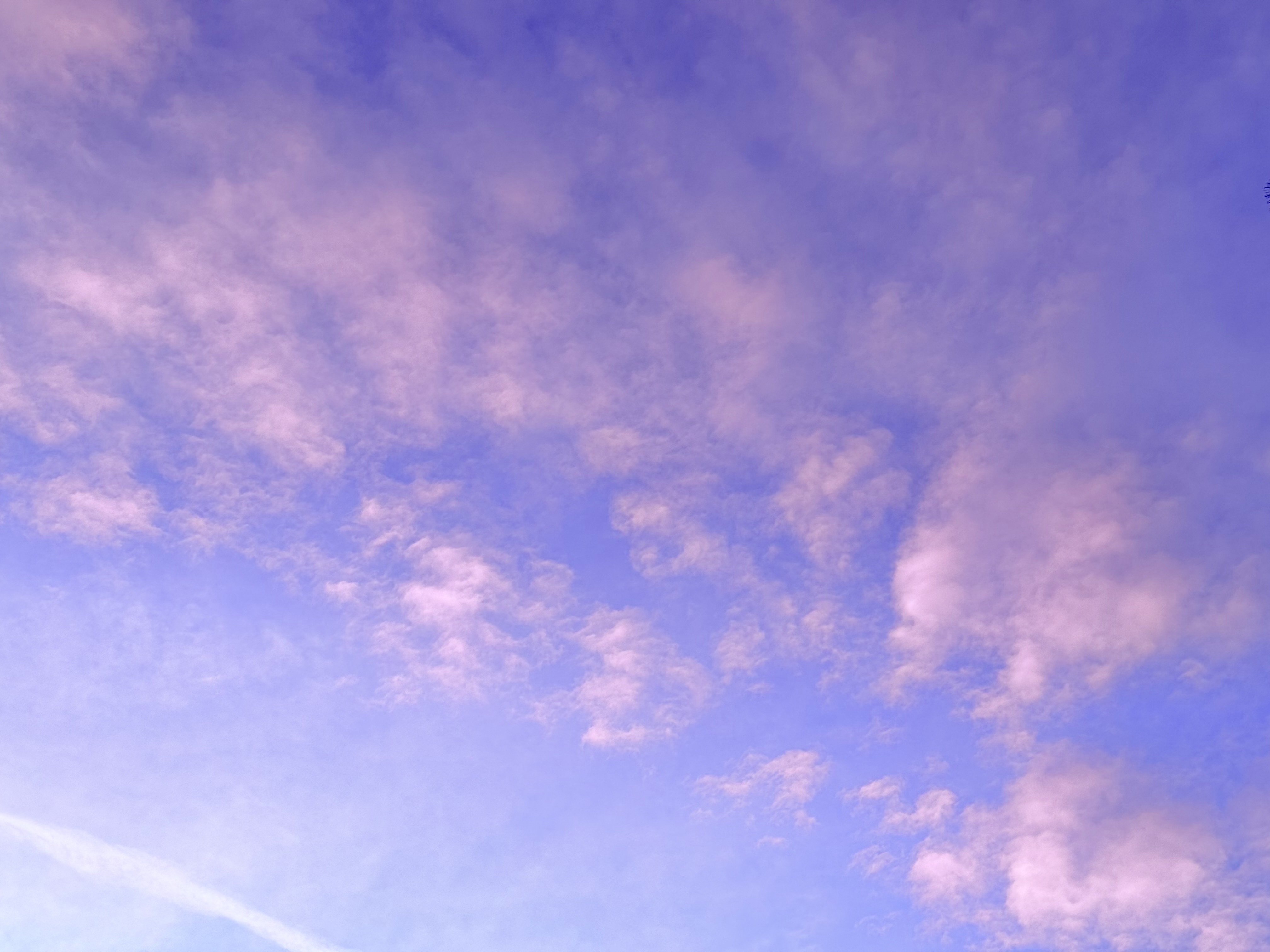 indeterminate parallelism