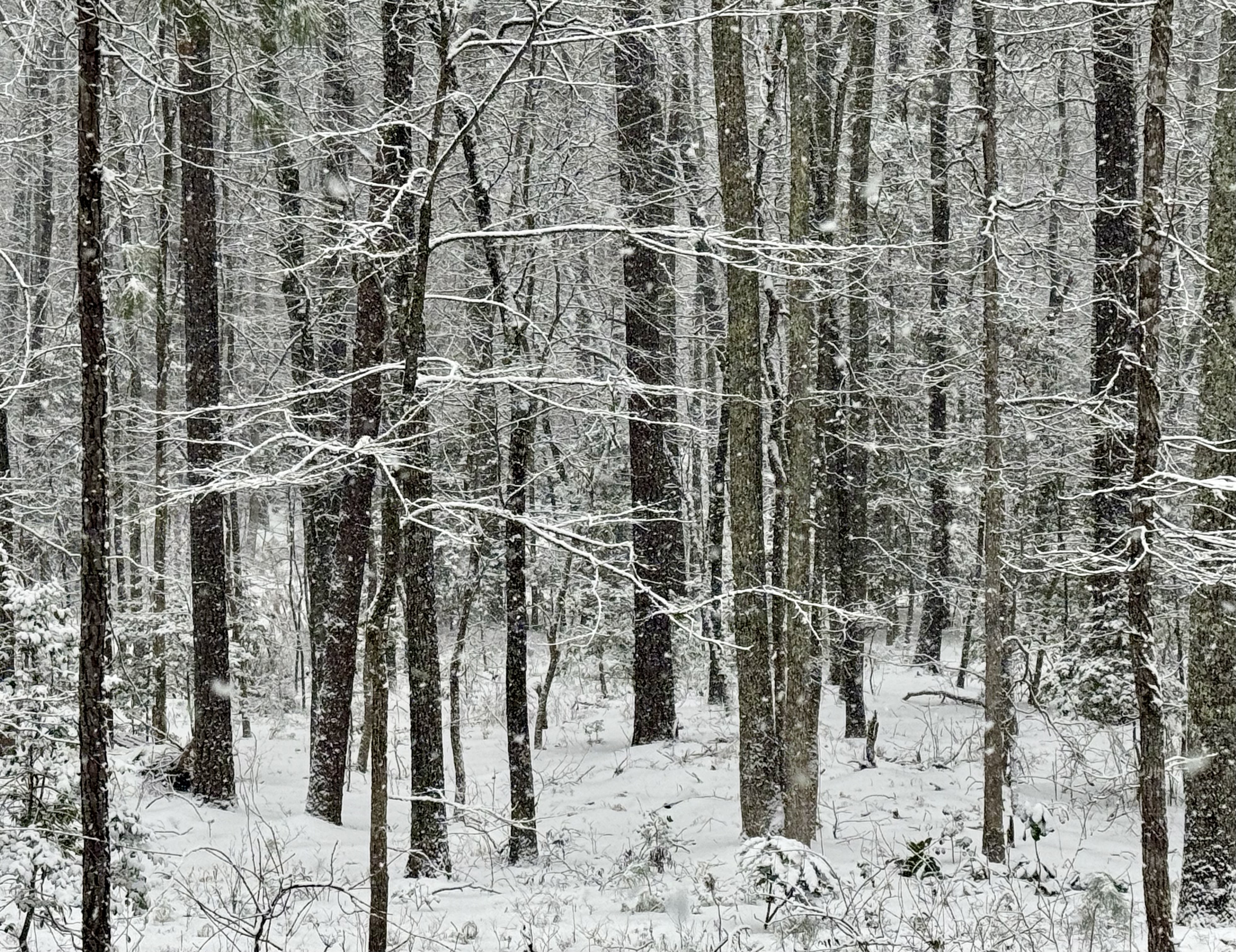third stage guild navigator