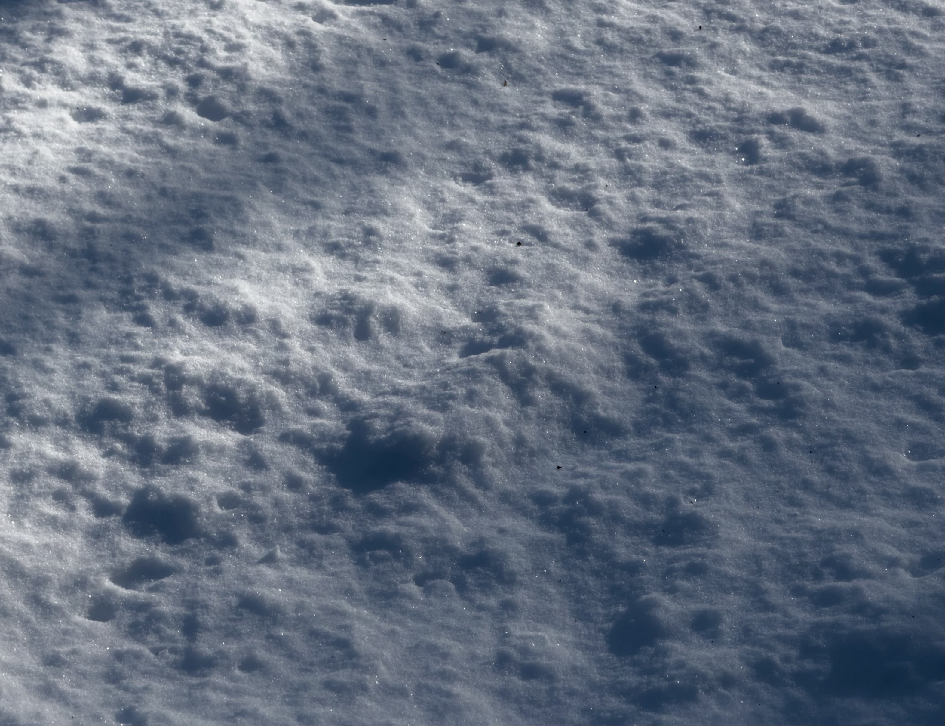 principled leader 88