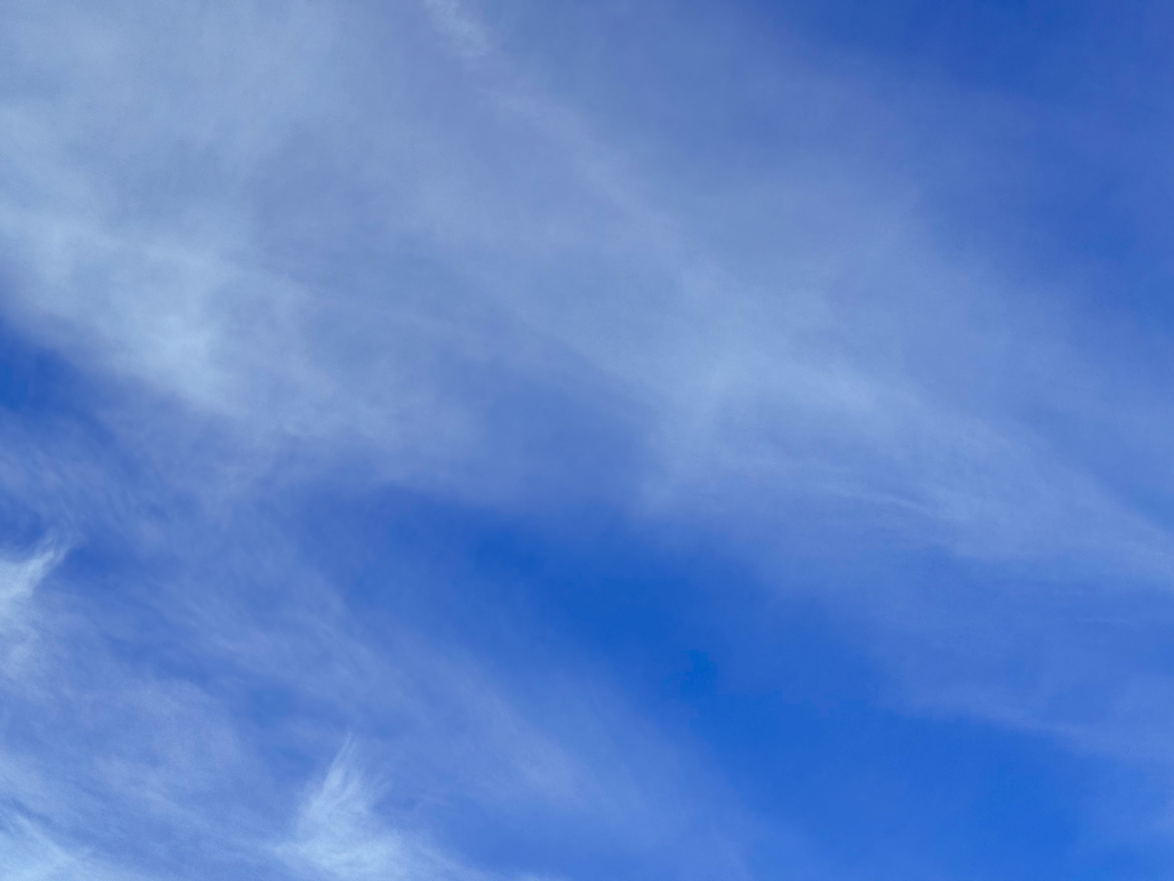 premium entanglement