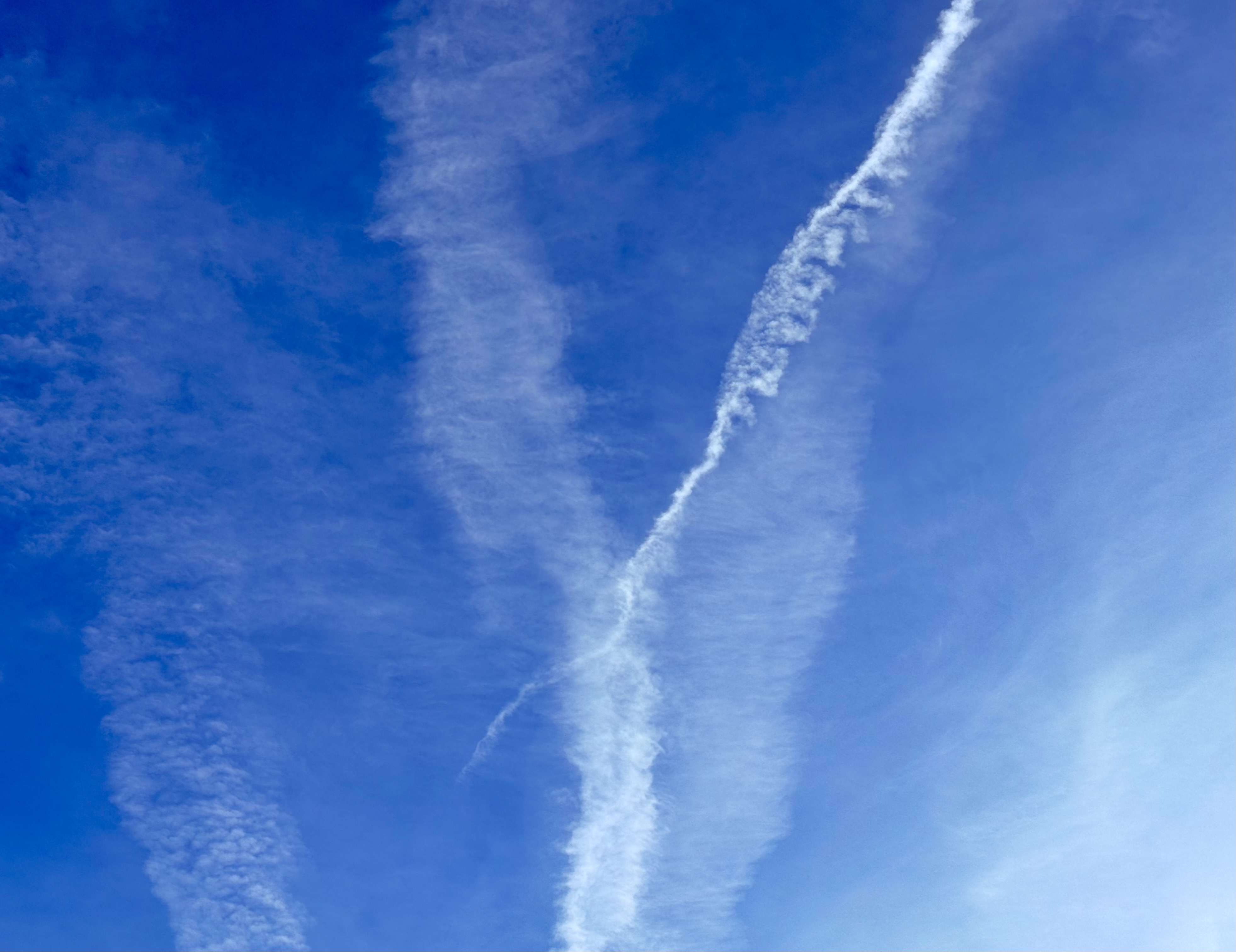 fledged leviathan GX